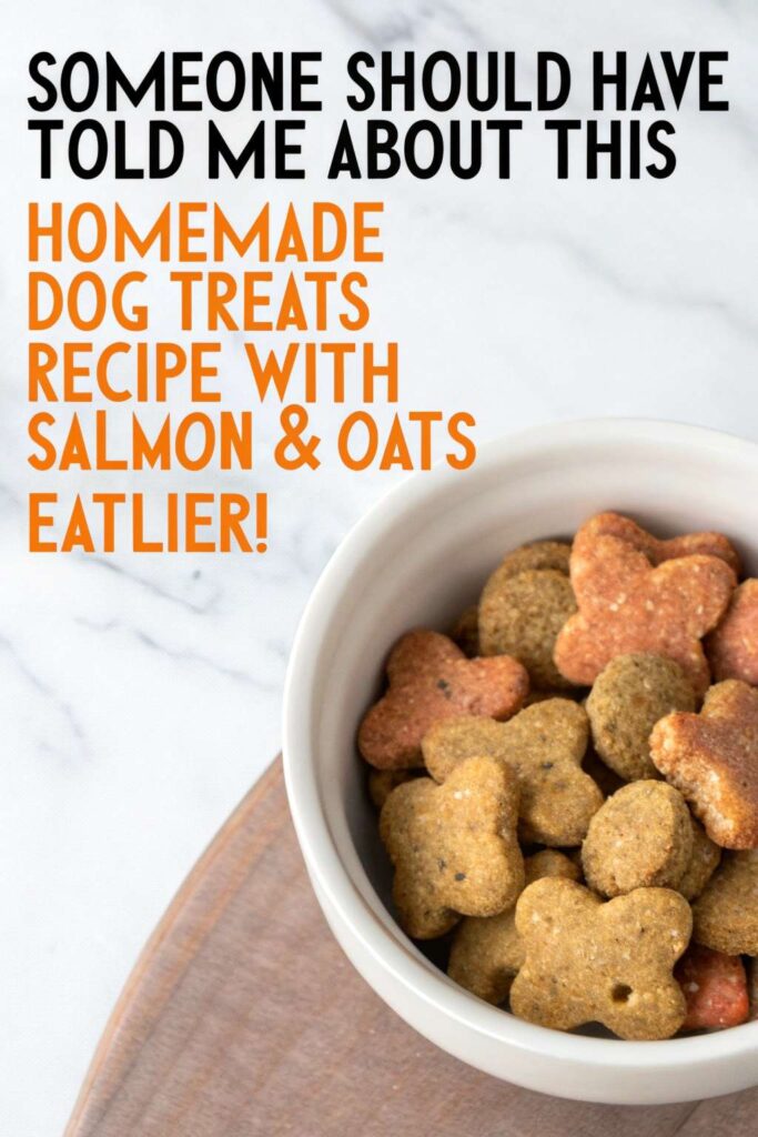 Homemade Dog Treats Recipe With Salmon Oats pin 2