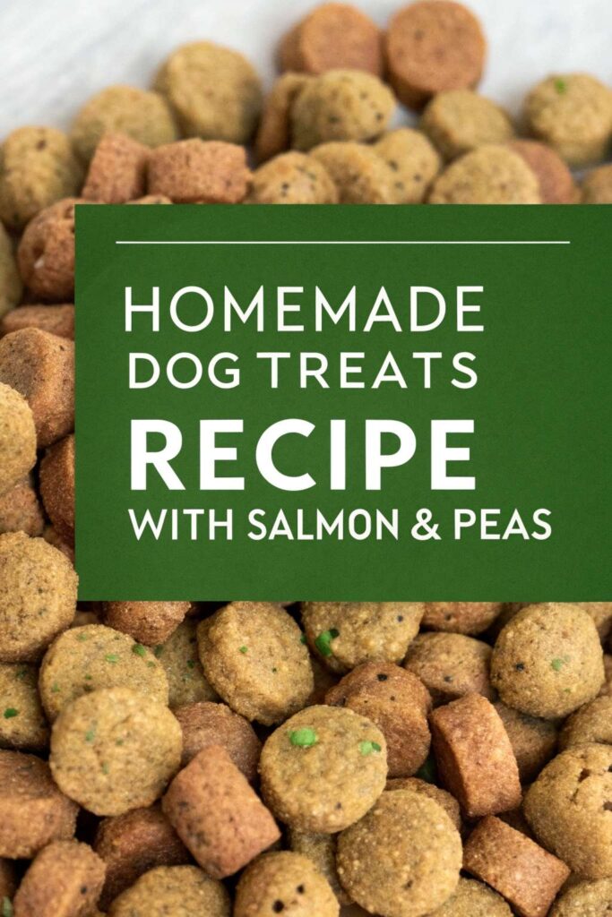 Homemade Dog Treats Recipe With Salmon Peas pin 2
