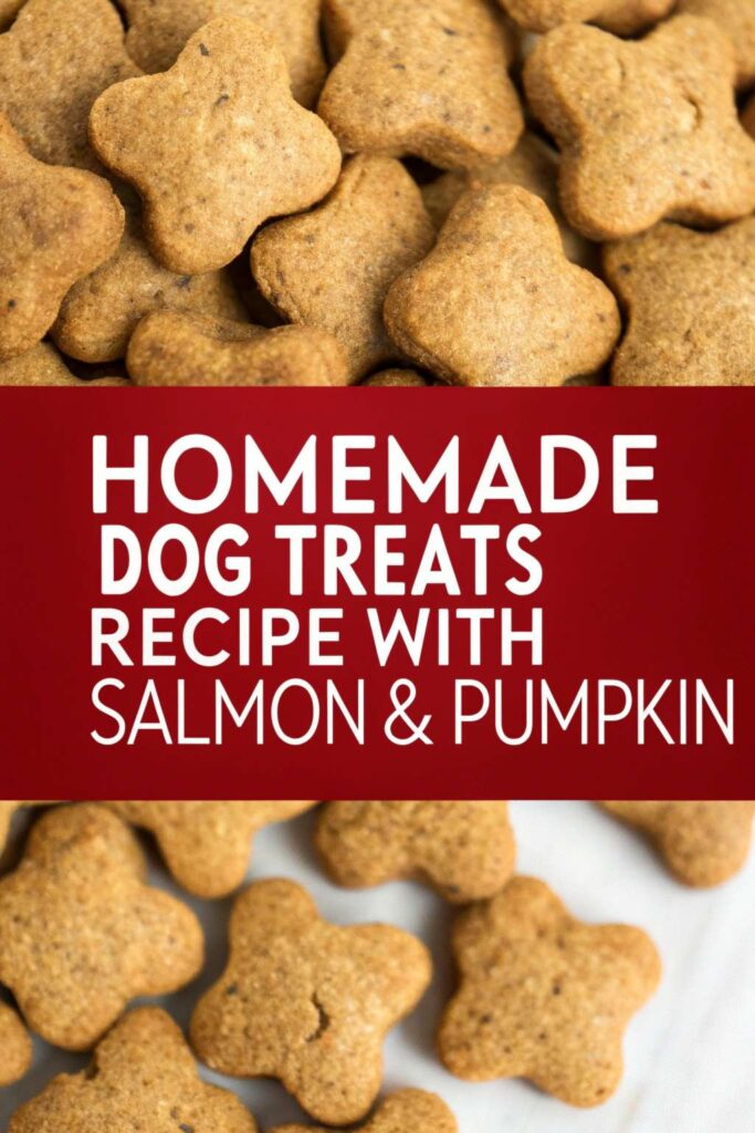 Homemade Dog Treats Recipe With Salmon Pumpkin pin 1
