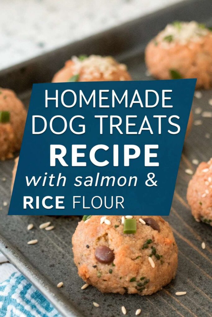 Homemade Dog Treats Recipe With Salmon Rice Flour pin 2