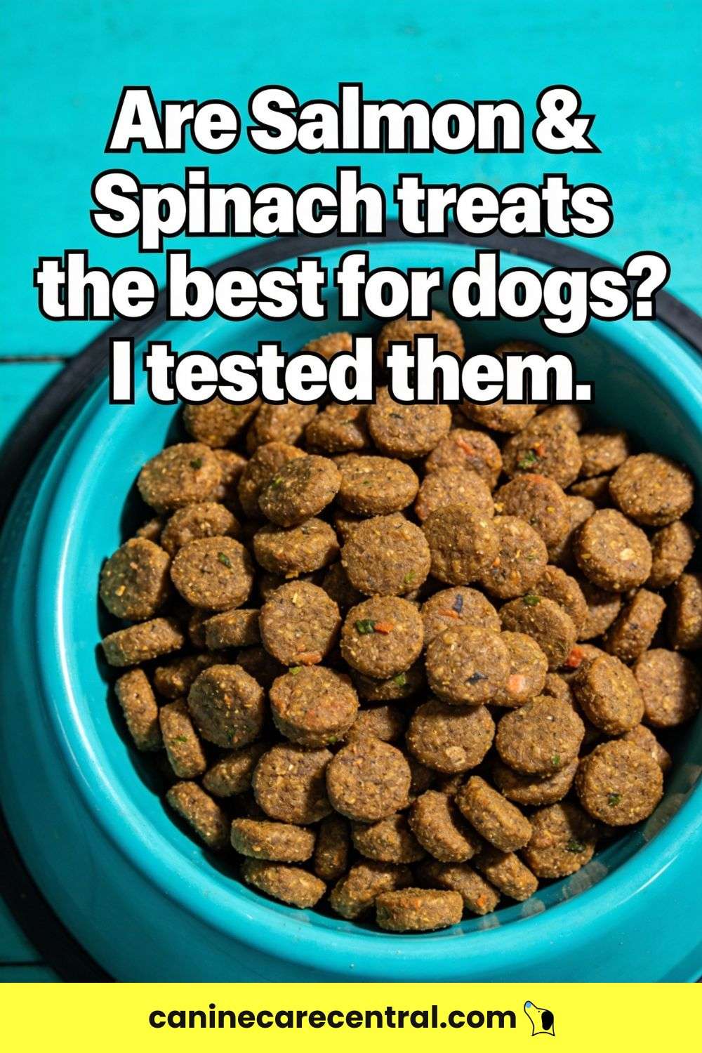 Homemade Dog Treats Recipe With Salmon Spinach pin 2
