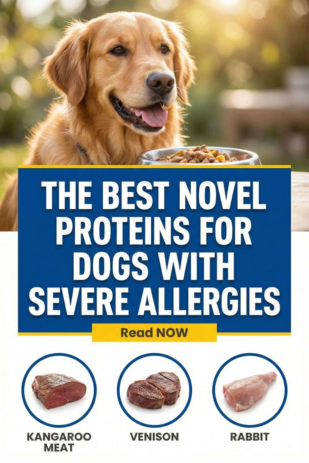 The Best Novel Proteins for Dogs with Severe Allergies - Canine Care ...