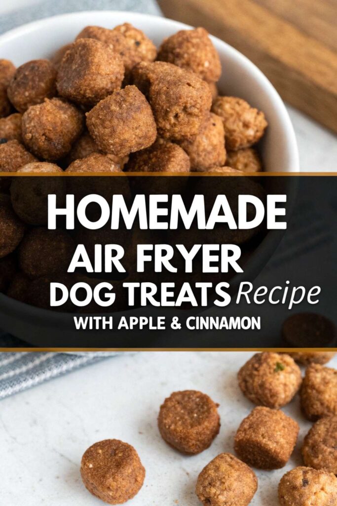 Homemade Air Fryer Dog Treats Recipe With Apple Cinnamon pin 2