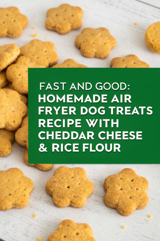 Homemade Air Fryer Dog Treats Recipe With Cheddar Cheese Rice Flour pin 1