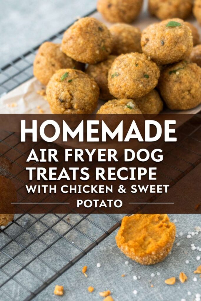Homemade Air Fryer Dog Treats Recipe With Chicken Sweet Potato pin 1