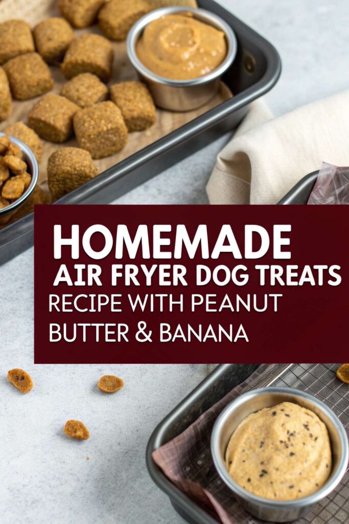 Homemade Air Fryer Dog Treats Recipe With Peanut Butter Banana pin 2