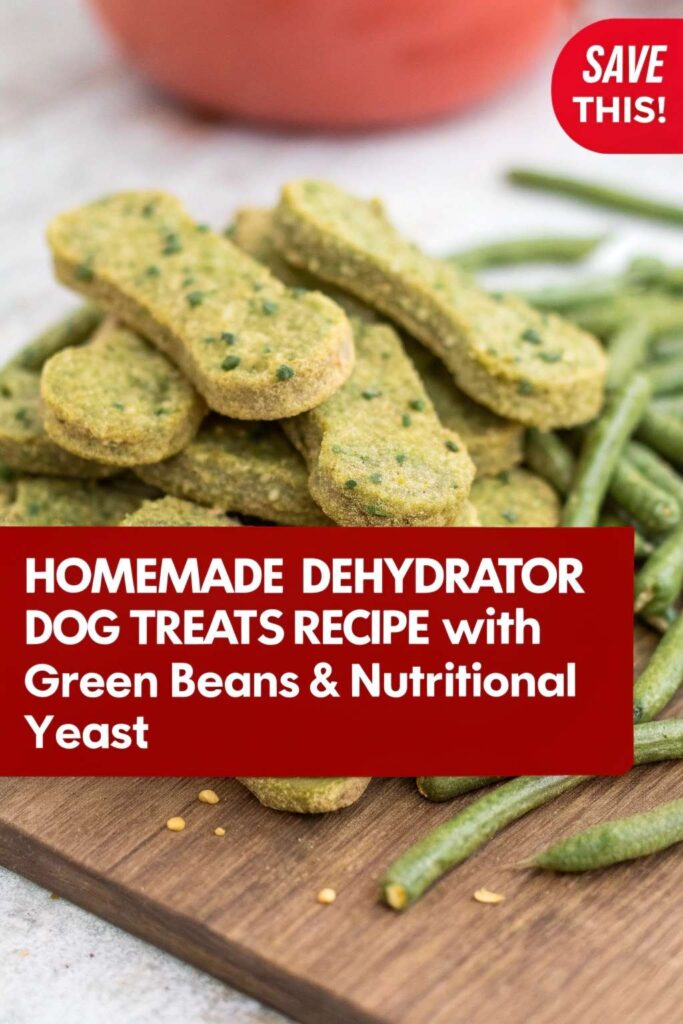 Homemade Dehydrator Dog Treats Recipe With Green Beans Nutritional Yeast pin 1