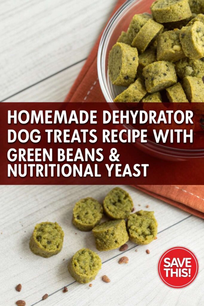 Homemade Dehydrator Dog Treats Recipe With Green Beans Nutritional Yeast pin 2