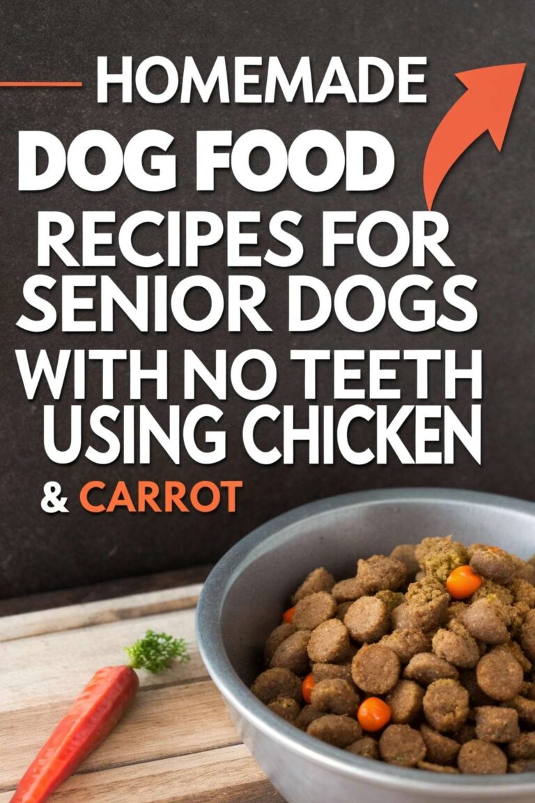 Image result for Homemade Dog Food Recipes For Senior Dogs With No Teeth Using Chicken & Carrot - Canine Care Central