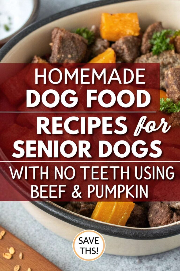 Homemade Dog Food Recipes For Senior Dogs With No Teeth Photo Inspiration