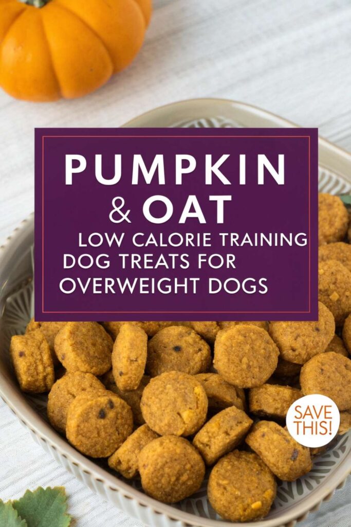 Pumpkin Oat Low Calorie Training Dog Treats For Overweight Dogs pin 1