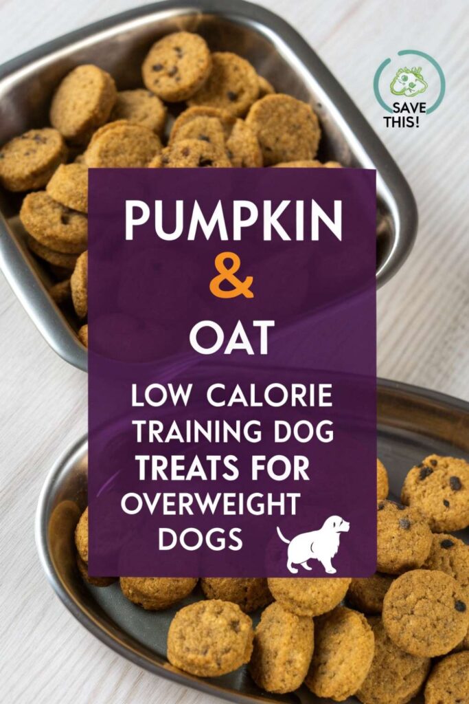 Pumpkin Oat Low Calorie Training Dog Treats For Overweight Dogs pin 2