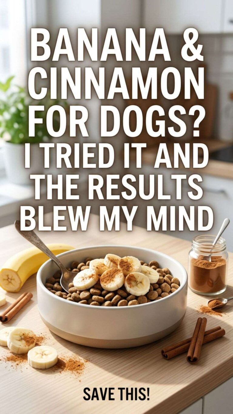 Easy Homemade Dog Training Treats Using Mashed Banana & Cinnamon ...