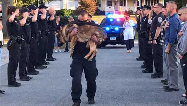 officer k9 1504505826