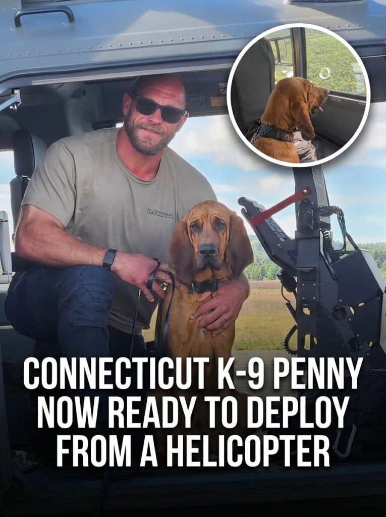 Connecticut K 9 ready for deploy… 20261013125251 1