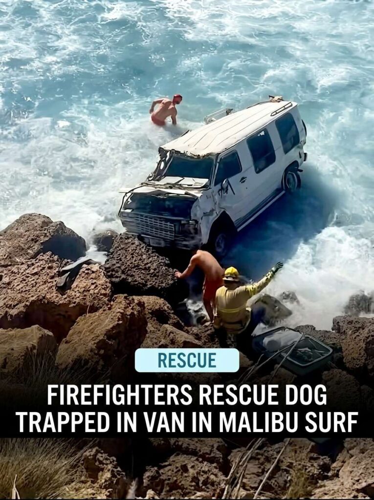 Firefighters rescue dog from van 20261005125717 1