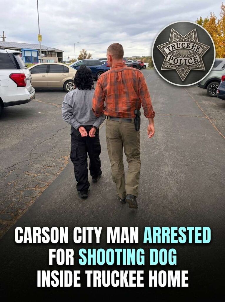 Man arrested for shooting dog 20261023110157 1