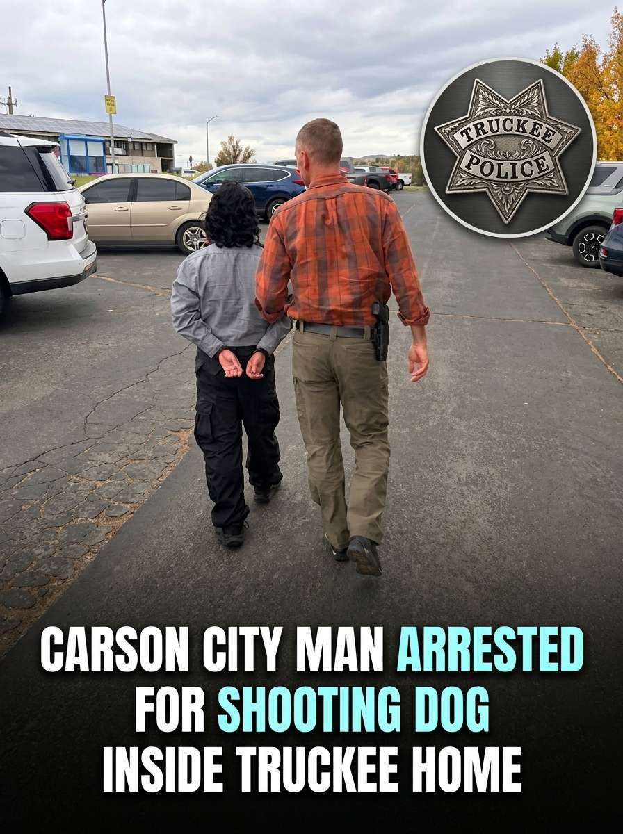 Man arrested for shooting dog 20261023110157 1