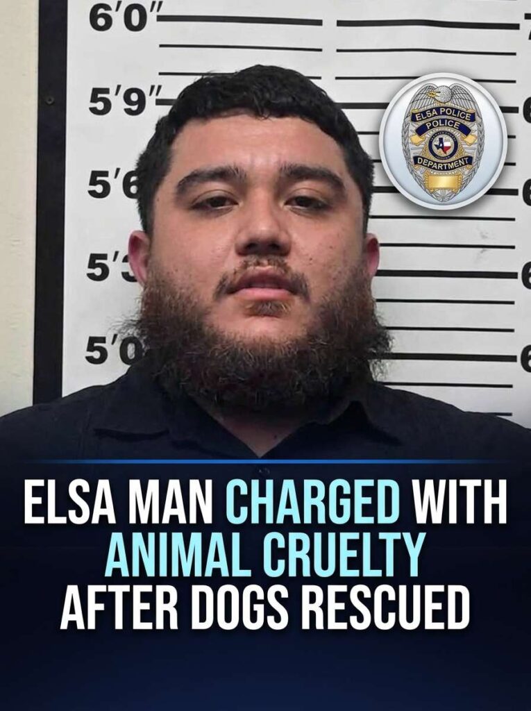 Man charged with animal cruelty 20261023105929 1