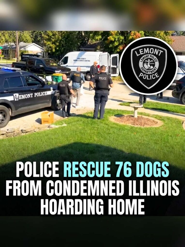 Police rescue dogs from home 20261024135509 1