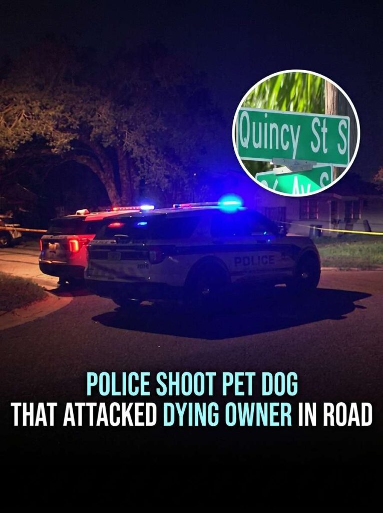 Police shoot pet dog 20261016170414 1