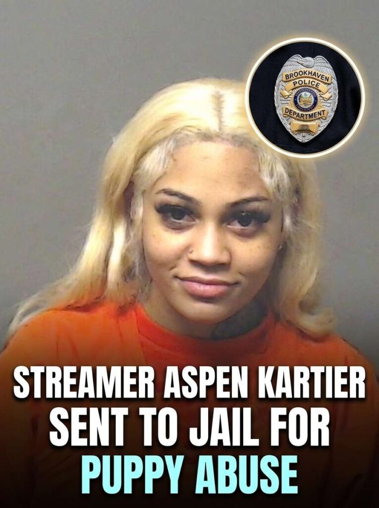 Streamer sent to jail for 20261024144719 1