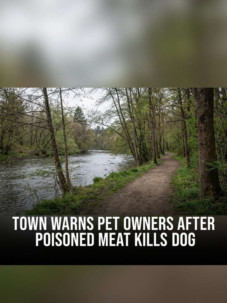 Town warns pet owners 20261004143059 1
