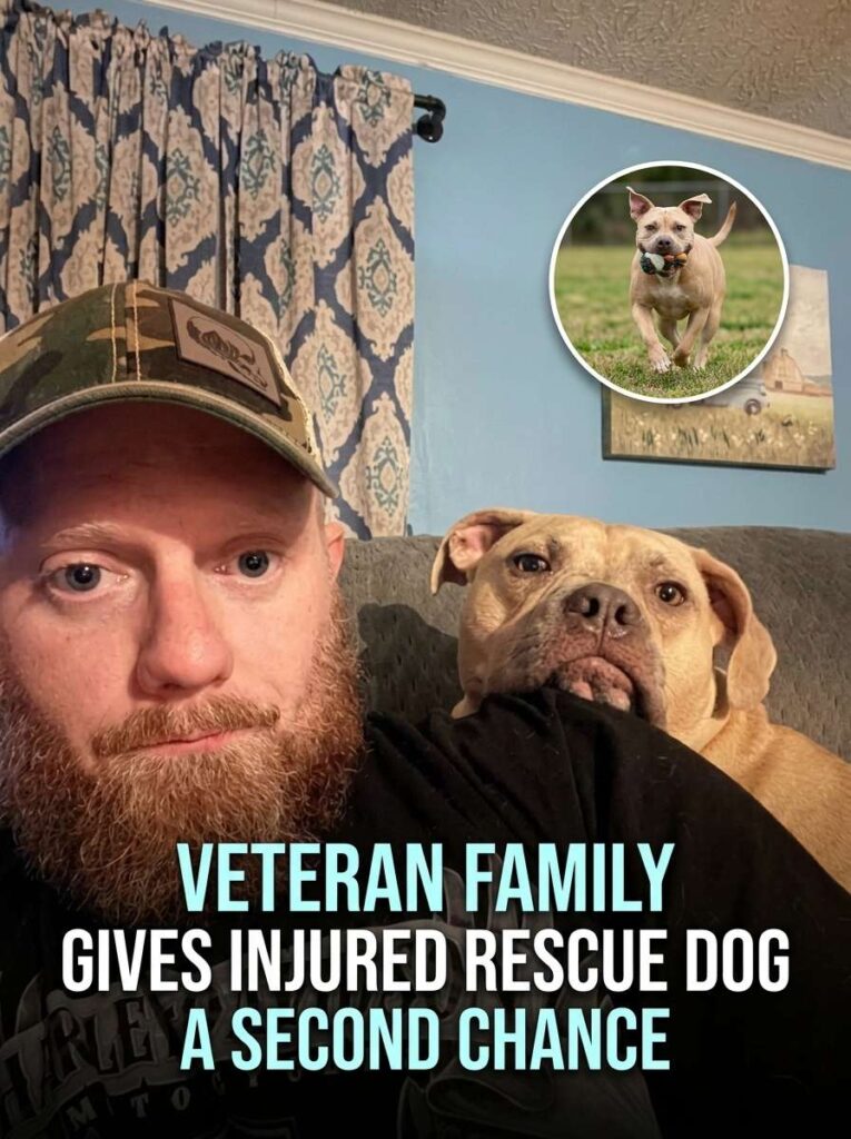 Veteran gives rescue dog chance 20261015191259 1