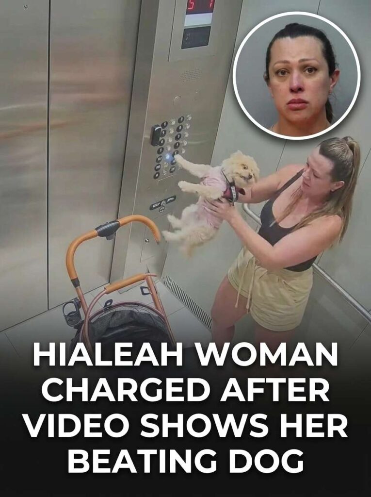 Woman charged for beating dog 20261005130331 1