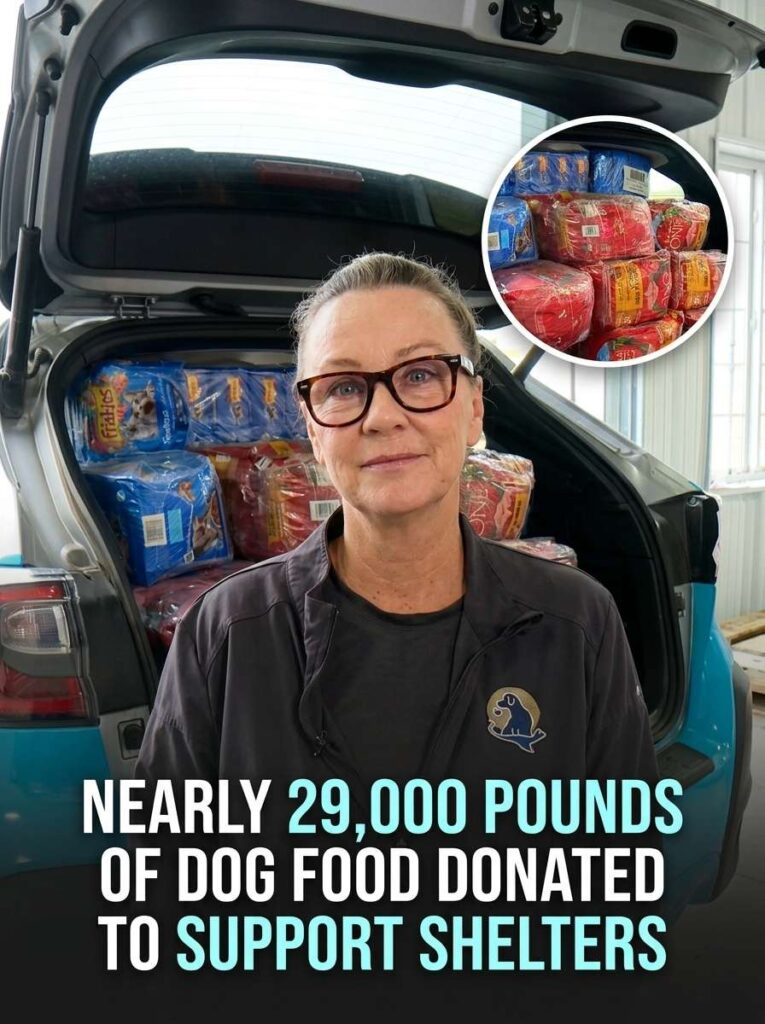 Woman donating dog food 20261015191623 1