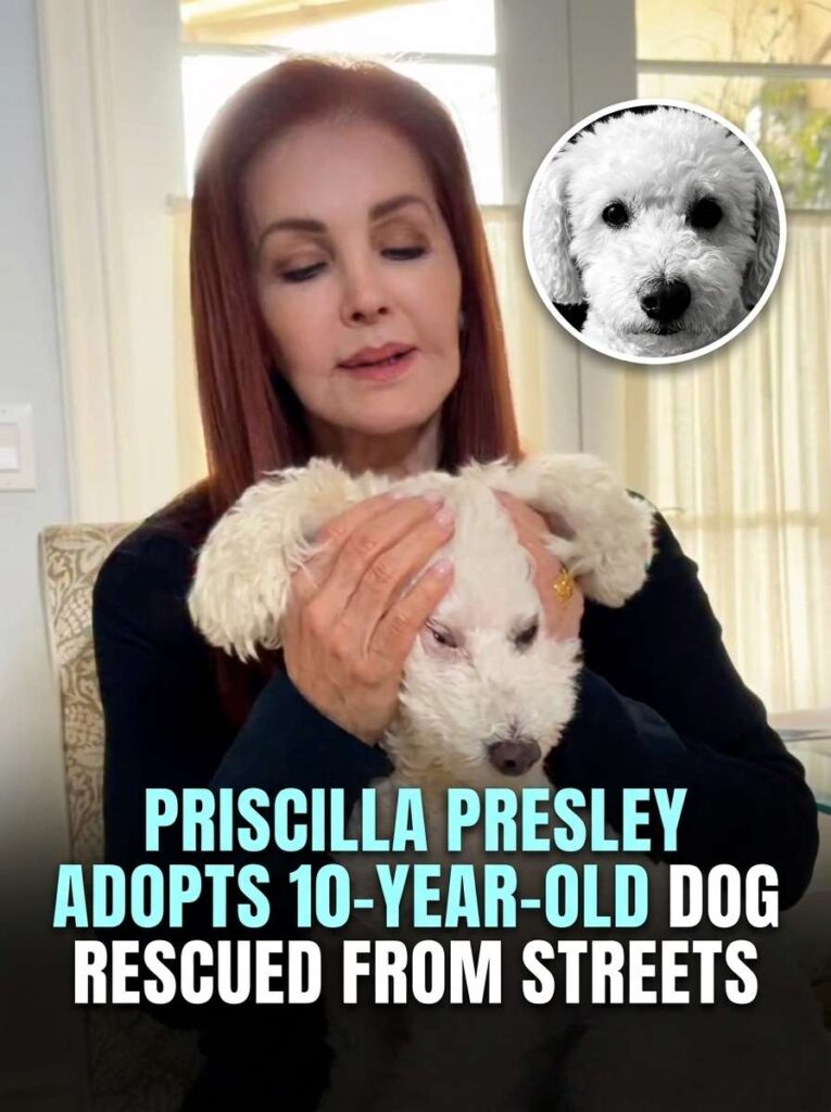 Woman holding rescue dog 20261014224636 1