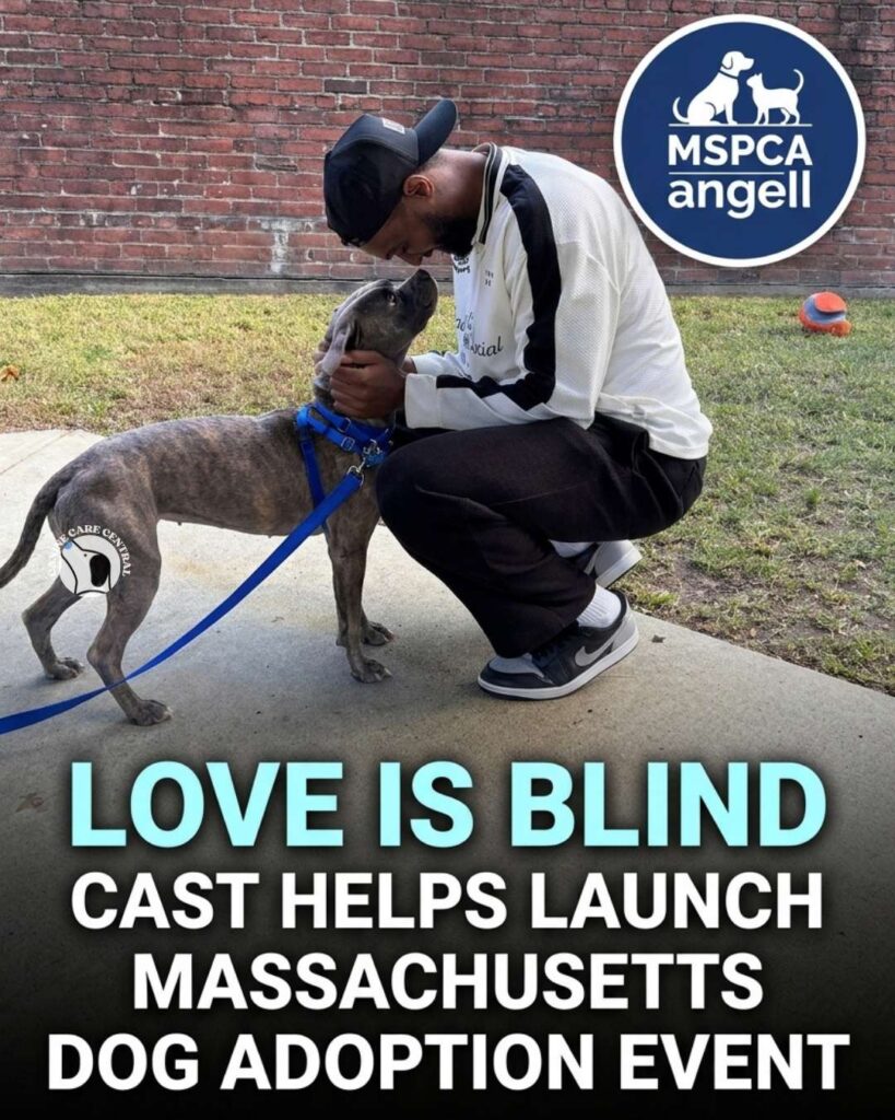 ccc pin template 45 i love all dogs 1 8