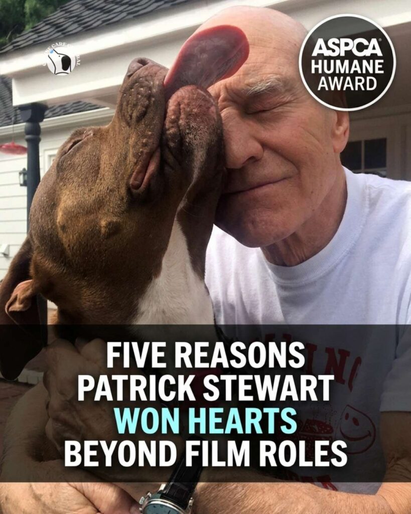 ccc pin template 45 i love all dogs 11 1 2