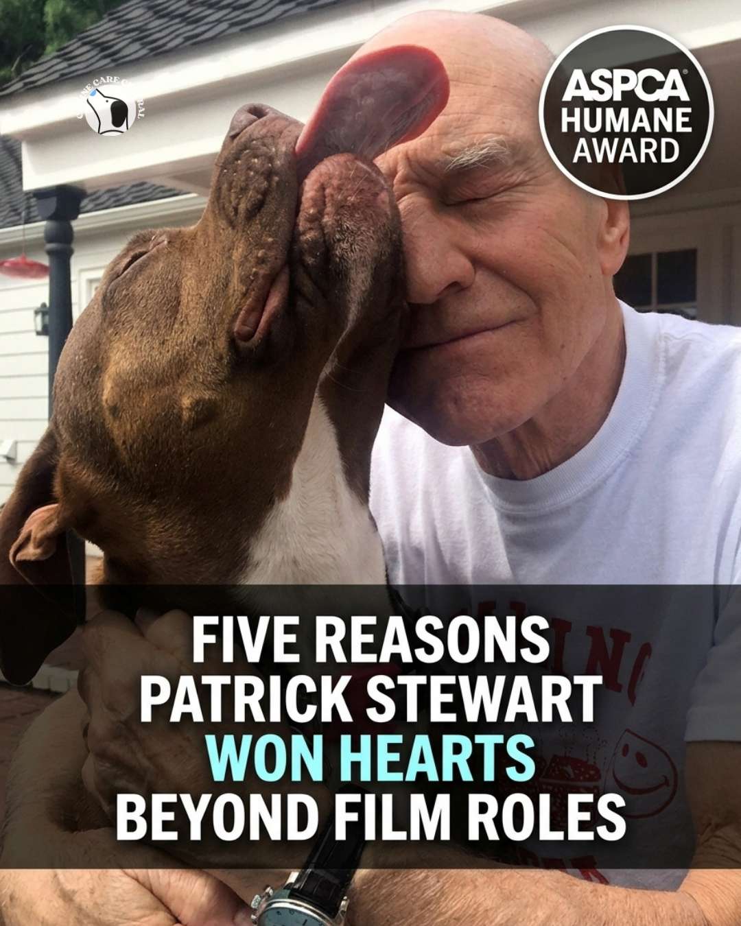 ccc pin template 45 i love all dogs 11 1 2