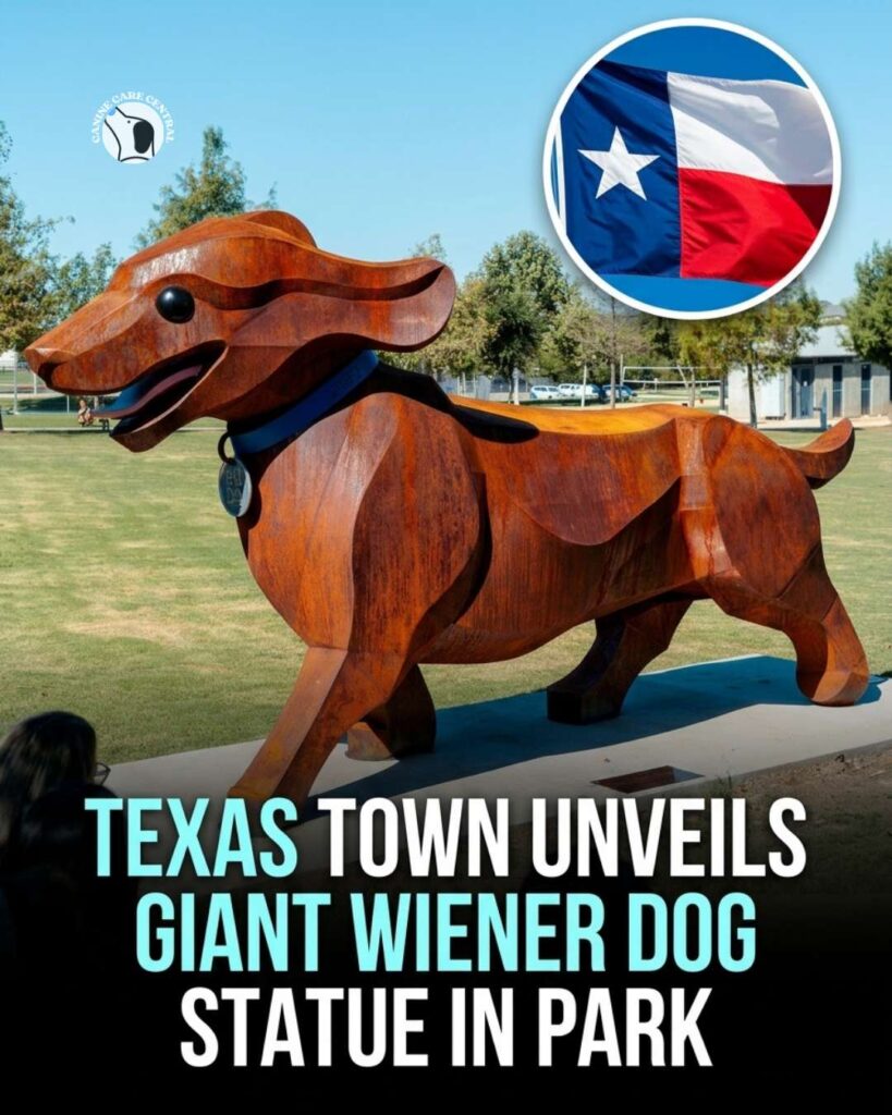 ccc pin template 45 i love all dogs 4 1 2